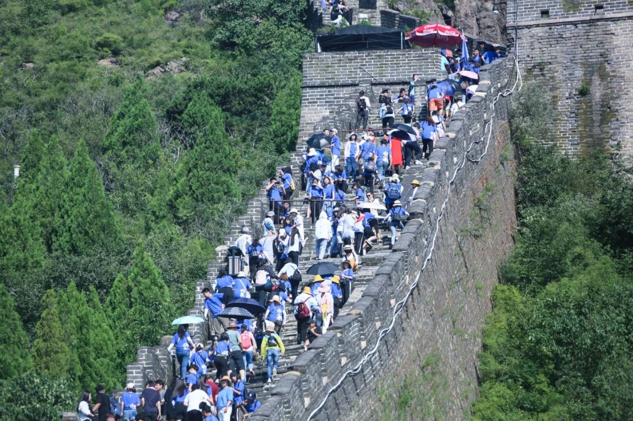 103.jpg