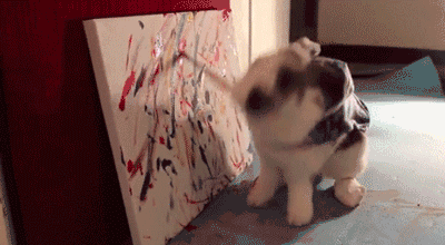 25.gif